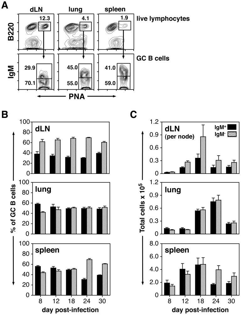 https://cdn.ncbi.nlm.nih.gov/pmc/blobs/1295/3394713/6d7c616b587b/pone.0040733.g002.jpg