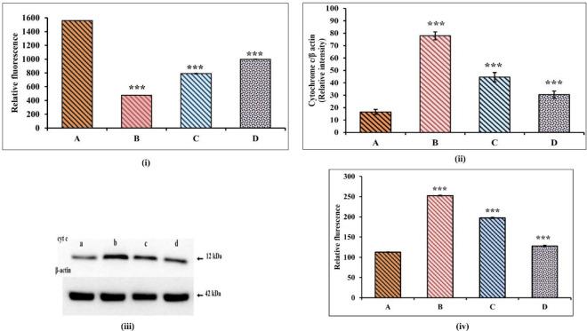 https://cdn.ncbi.nlm.nih.gov/pmc/blobs/1297/8591757/fcef24804348/IJBMS-24-1087-g008.jpg