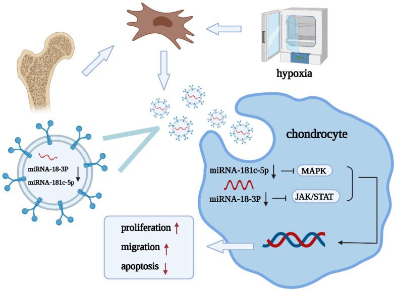 https://cdn.ncbi.nlm.nih.gov/pmc/blobs/1298/8875566/e3e36761cc4e/membranes-12-00225-g006.jpg