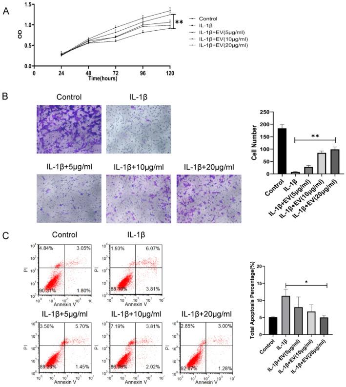 https://cdn.ncbi.nlm.nih.gov/pmc/blobs/1298/8875566/f065e6018dd8/membranes-12-00225-g002.jpg
