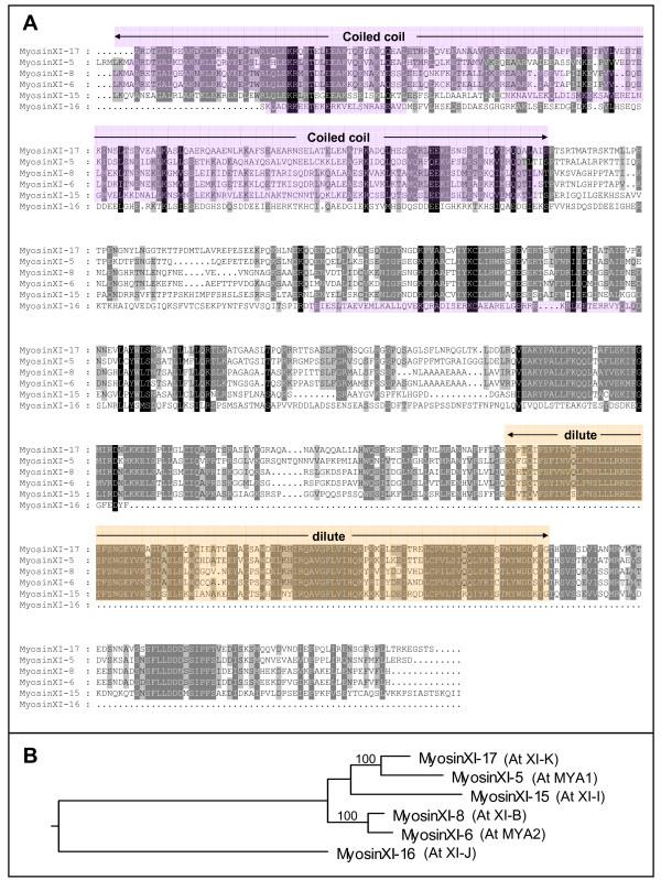 https://cdn.ncbi.nlm.nih.gov/pmc/blobs/129d/1802837/a05805839895/1471-2229-7-6-2.jpg
