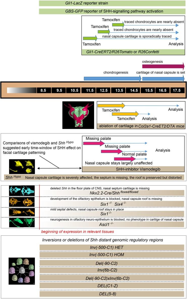 https://cdn.ncbi.nlm.nih.gov/pmc/blobs/129d/6019068/1bc1be5e5367/elife-34465-fig7.jpg