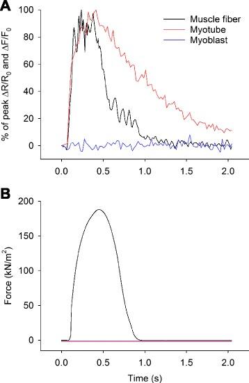 https://cdn.ncbi.nlm.nih.gov/pmc/blobs/129e/4545874/c9761df583e3/13395_2015_50_Fig1_HTML.jpg