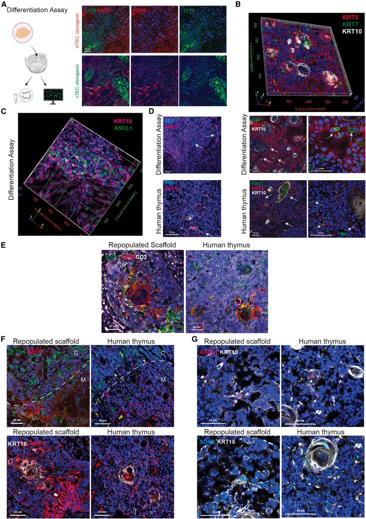 https://cdn.ncbi.nlm.nih.gov/pmc/blobs/12a0/10957394/c34350305a83/gr7.jpg