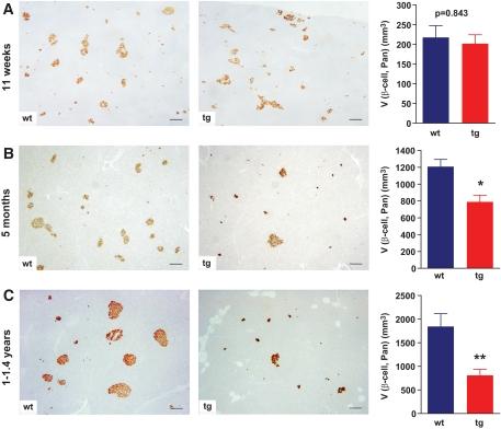 https://cdn.ncbi.nlm.nih.gov/pmc/blobs/12a2/2857903/0548de053275/zdb0051061170006.jpg