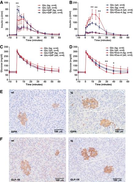 https://cdn.ncbi.nlm.nih.gov/pmc/blobs/12a2/2857903/d651443f177d/zdb0051061170003.jpg