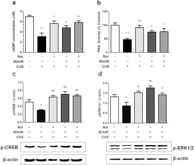 https://cdn.ncbi.nlm.nih.gov/pmc/blobs/12a2/4498385/4d3f1ec28877/srep11332-f6.jpg