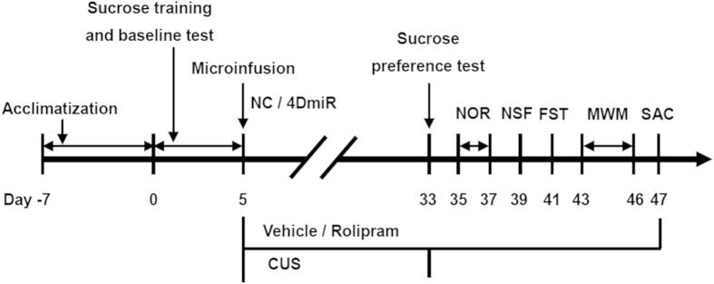https://cdn.ncbi.nlm.nih.gov/pmc/blobs/12a2/4498385/5a03abaca73a/srep11332-f7.jpg