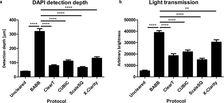 https://cdn.ncbi.nlm.nih.gov/pmc/blobs/12a2/7609049/136480db5e26/elife-52904-fig1-figsupp1.jpg