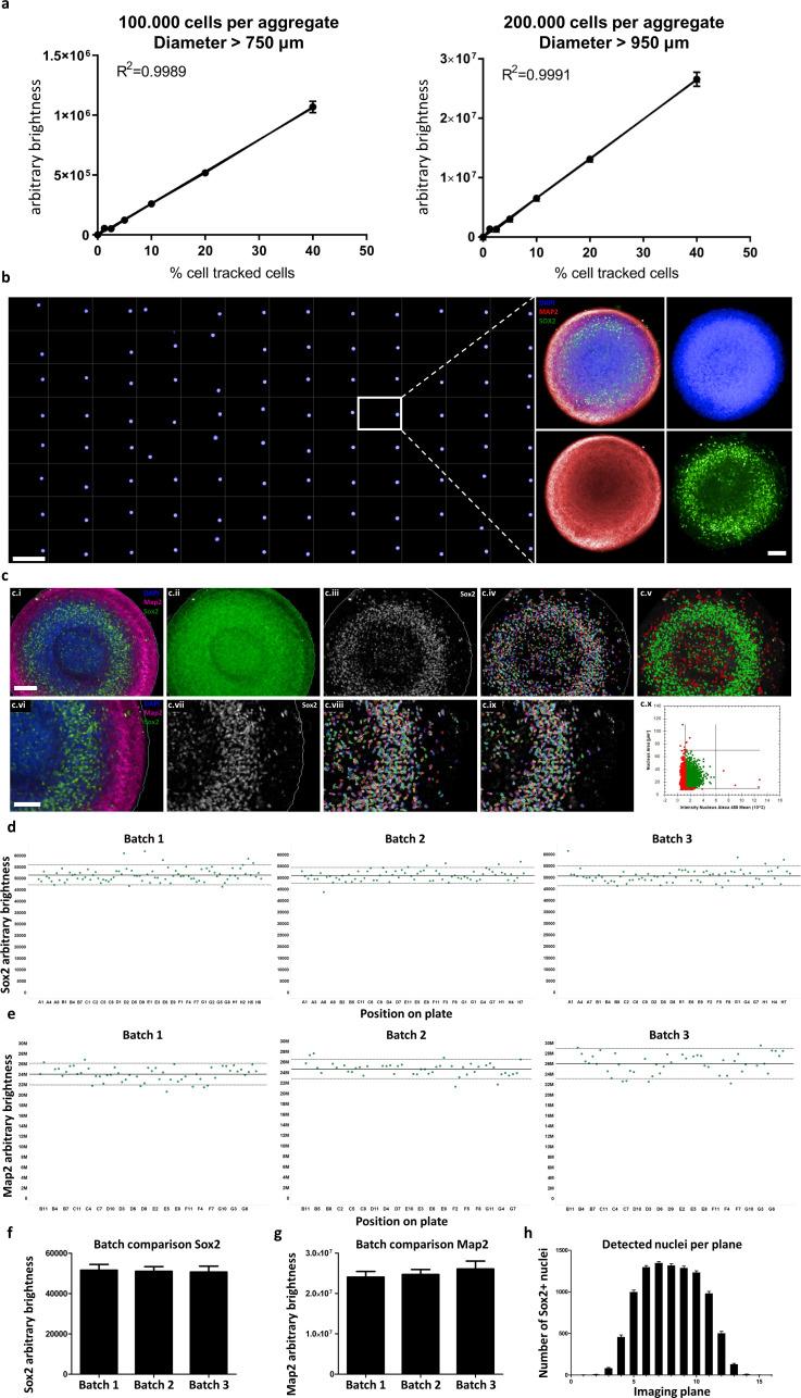 https://cdn.ncbi.nlm.nih.gov/pmc/blobs/12a2/7609049/15fa6ec702e5/elife-52904-fig6.jpg