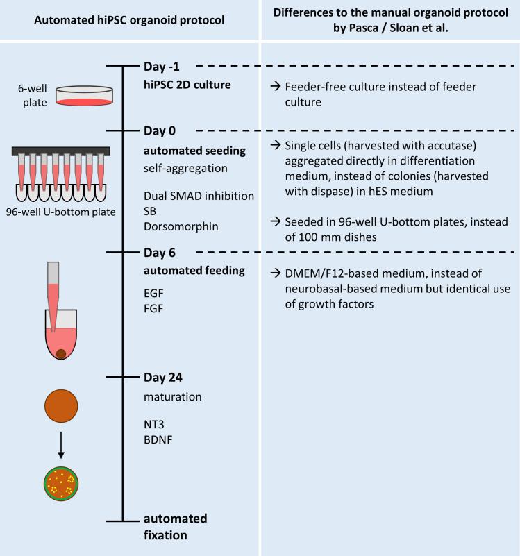 https://cdn.ncbi.nlm.nih.gov/pmc/blobs/12a2/7609049/2200f5314908/elife-52904-fig7-figsupp1.jpg