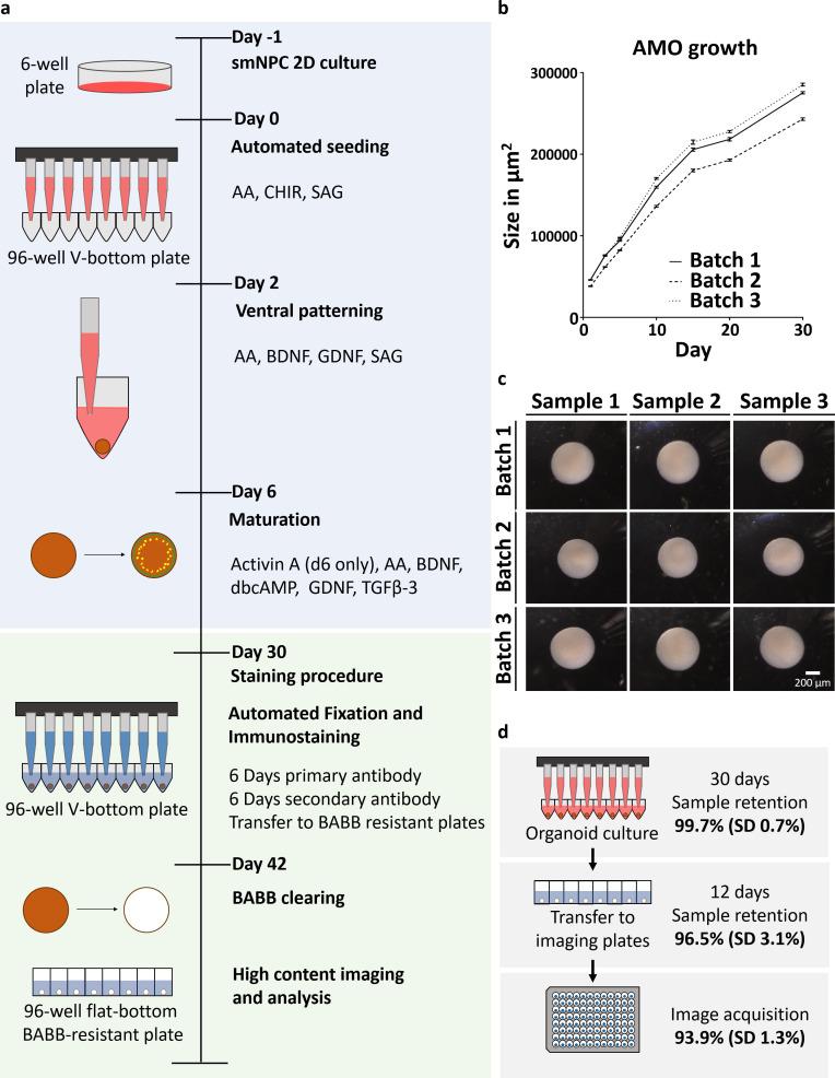 https://cdn.ncbi.nlm.nih.gov/pmc/blobs/12a2/7609049/2c81bc91023c/elife-52904-fig1.jpg