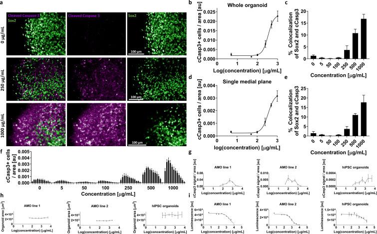https://cdn.ncbi.nlm.nih.gov/pmc/blobs/12a2/7609049/33a338a063fe/elife-52904-fig8-figsupp1.jpg