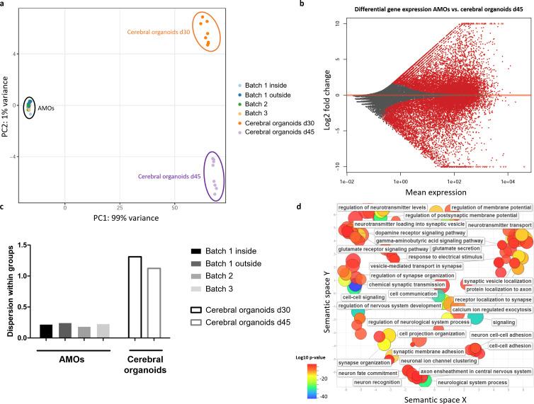 https://cdn.ncbi.nlm.nih.gov/pmc/blobs/12a2/7609049/624bb5f30c18/elife-52904-fig5-figsupp1.jpg