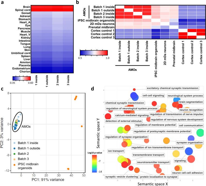 https://cdn.ncbi.nlm.nih.gov/pmc/blobs/12a2/7609049/c149f6264ff4/elife-52904-fig5.jpg