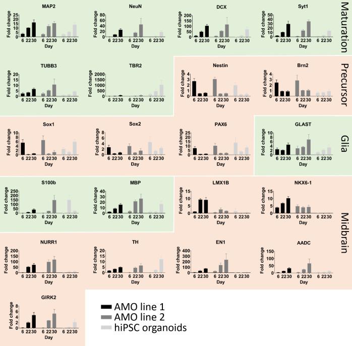 https://cdn.ncbi.nlm.nih.gov/pmc/blobs/12a2/7609049/d087e8b1e2d7/elife-52904-fig3-figsupp1.jpg