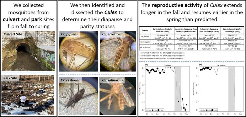 https://cdn.ncbi.nlm.nih.gov/pmc/blobs/12a3/10230737/2d02dd76ecf6/13071_2023_5806_Figa_HTML.jpg