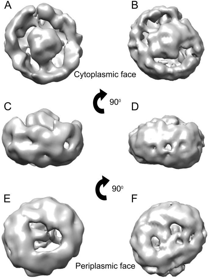 https://cdn.ncbi.nlm.nih.gov/pmc/blobs/12a3/5538271/307e1ac873f8/gr7.jpg