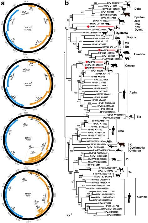 https://cdn.ncbi.nlm.nih.gov/pmc/blobs/12ab/5545856/fb57aab7ade8/40168_2017_308_Fig3_HTML.jpg