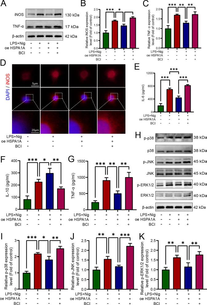 https://cdn.ncbi.nlm.nih.gov/pmc/blobs/12ad/11809008/33a189f33a37/10020_2025_1086_Fig8_HTML.jpg