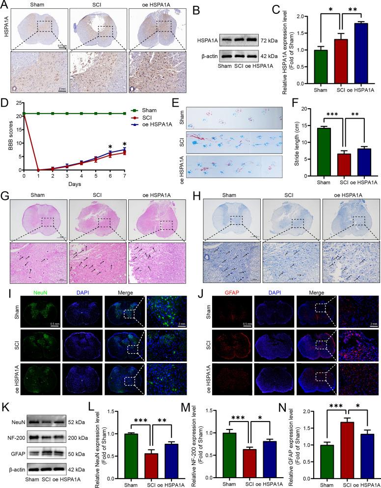 https://cdn.ncbi.nlm.nih.gov/pmc/blobs/12ad/11809008/4ef2c293ea9d/10020_2025_1086_Fig1_HTML.jpg