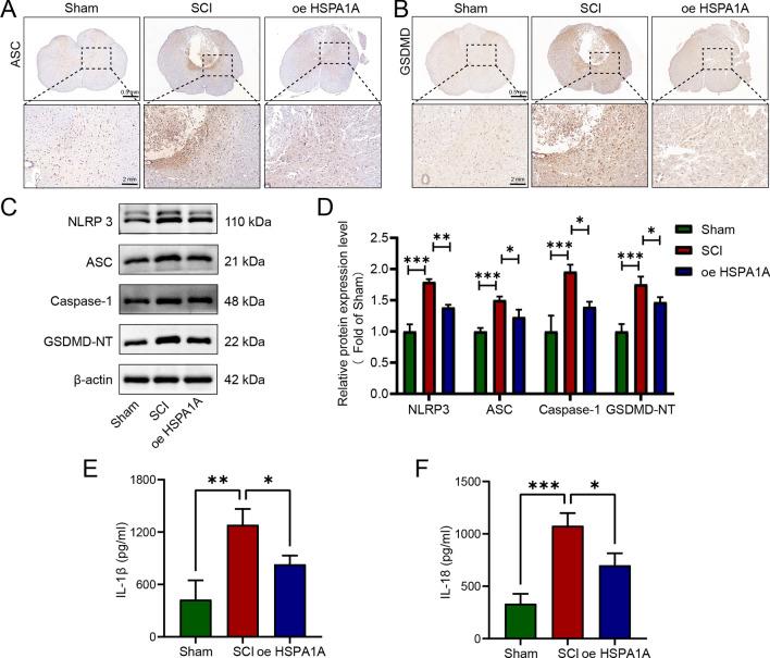 https://cdn.ncbi.nlm.nih.gov/pmc/blobs/12ad/11809008/77e789164b34/10020_2025_1086_Fig2_HTML.jpg