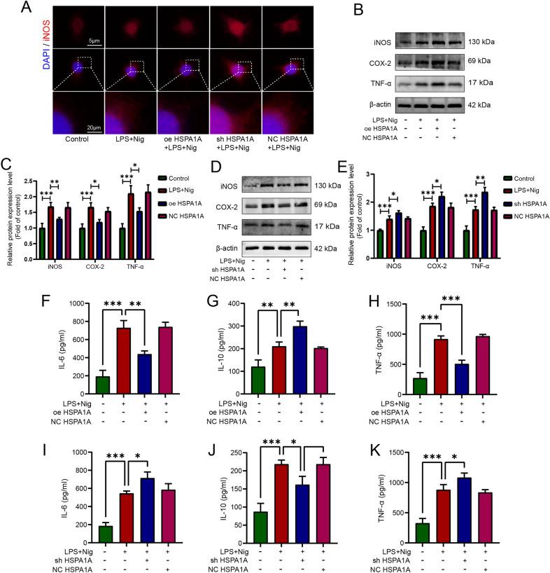 https://cdn.ncbi.nlm.nih.gov/pmc/blobs/12ad/11809008/a6cc50513695/10020_2025_1086_Fig5_HTML.jpg