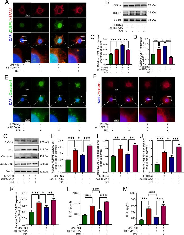 https://cdn.ncbi.nlm.nih.gov/pmc/blobs/12ad/11809008/cc4dc2758948/10020_2025_1086_Fig7_HTML.jpg
