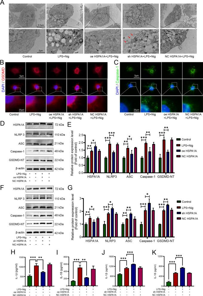 https://cdn.ncbi.nlm.nih.gov/pmc/blobs/12ad/11809008/dfa1a92812bf/10020_2025_1086_Fig4_HTML.jpg