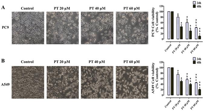 https://cdn.ncbi.nlm.nih.gov/pmc/blobs/12ad/5556085/0fc41d228de1/41598_2017_8547_Fig1_HTML.jpg