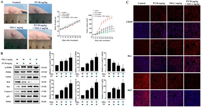 https://cdn.ncbi.nlm.nih.gov/pmc/blobs/12ad/5556085/2880e4cfc50f/41598_2017_8547_Fig8_HTML.jpg