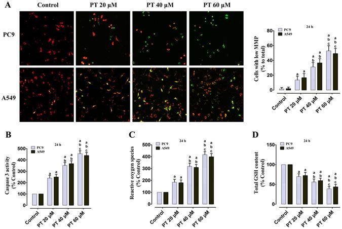 https://cdn.ncbi.nlm.nih.gov/pmc/blobs/12ad/5556085/7f57d4c4d71b/41598_2017_8547_Fig3_HTML.jpg