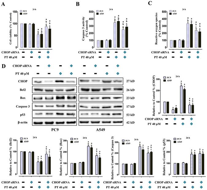 https://cdn.ncbi.nlm.nih.gov/pmc/blobs/12ad/5556085/bbf278d9e857/41598_2017_8547_Fig6_HTML.jpg