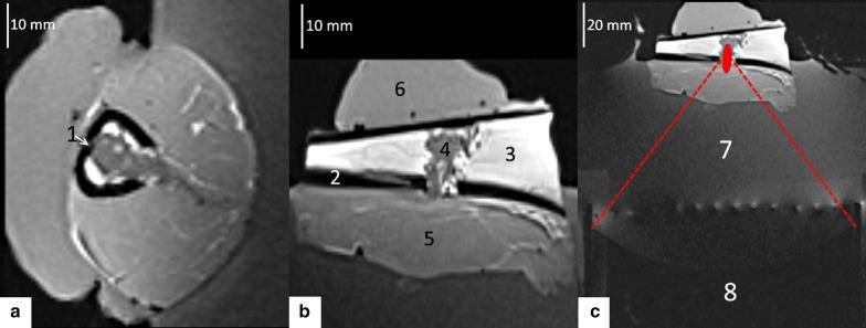 https://cdn.ncbi.nlm.nih.gov/pmc/blobs/12ad/6814062/d8c092965154/12967_2019_2094_Fig3_HTML.jpg