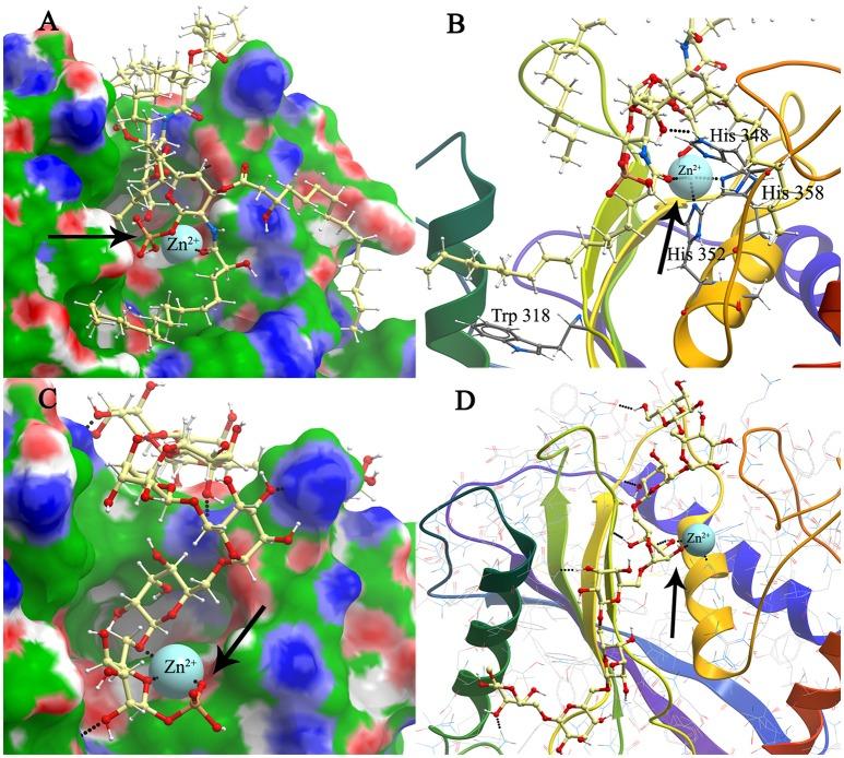 https://cdn.ncbi.nlm.nih.gov/pmc/blobs/12b1/5240029/b5d2b631689d/fcimb-07-00002-g0005.jpg