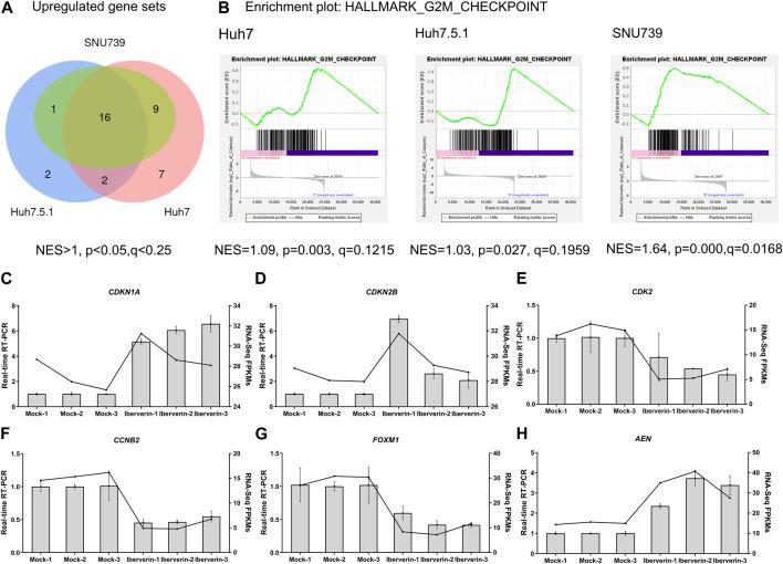 https://cdn.ncbi.nlm.nih.gov/pmc/blobs/12b3/10751328/c71ad399b38b/fphar-14-1326346-g006.jpg