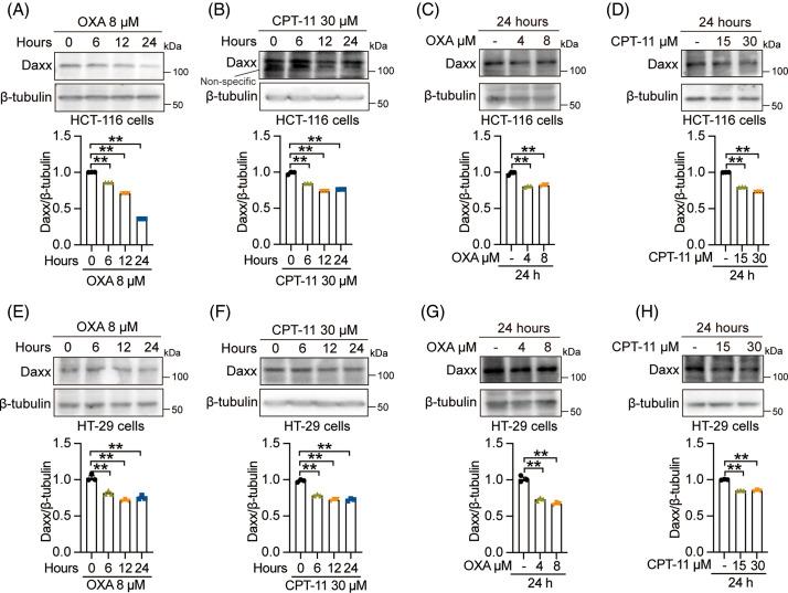 https://cdn.ncbi.nlm.nih.gov/pmc/blobs/12b3/12034003/c256a8bbd5d0/OncolRes-33-54930-f001.jpg