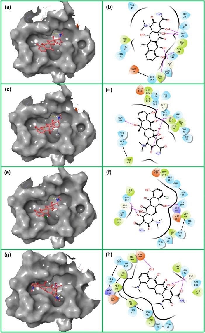 https://cdn.ncbi.nlm.nih.gov/pmc/blobs/12b4/7347340/576a6ae22f9f/gr2_lrg.jpg