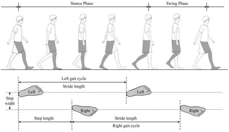 https://cdn.ncbi.nlm.nih.gov/pmc/blobs/12b6/10669801/5080f2ac5517/brainsci-13-01599-g001.jpg