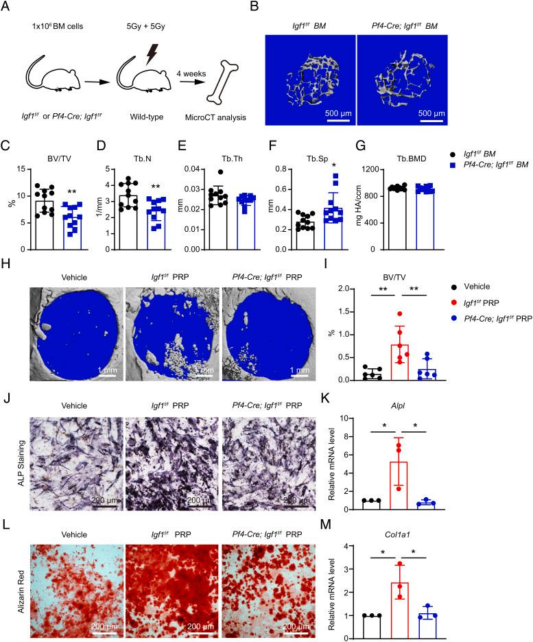 https://cdn.ncbi.nlm.nih.gov/pmc/blobs/12b8/9910602/0d589ed6a55a/pnas.2203779120fig07.jpg