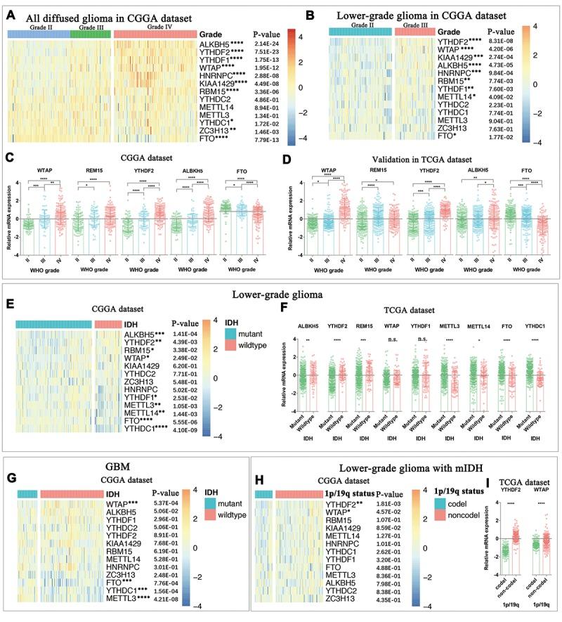 https://cdn.ncbi.nlm.nih.gov/pmc/blobs/12bc/6402513/3cdd992902f3/aging-11-101829-g001.jpg