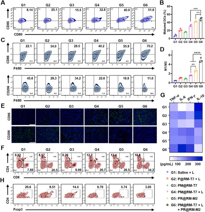 https://cdn.ncbi.nlm.nih.gov/pmc/blobs/12bd/10935025/a84e27428087/gr6.jpg