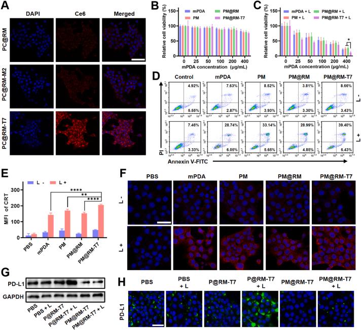 https://cdn.ncbi.nlm.nih.gov/pmc/blobs/12bd/10935025/b0489ed26762/gr2.jpg