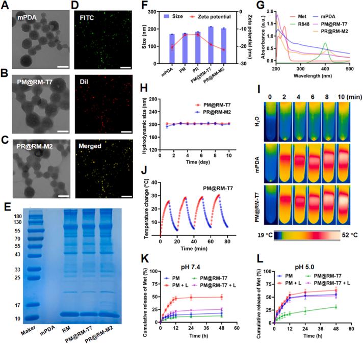 https://cdn.ncbi.nlm.nih.gov/pmc/blobs/12bd/10935025/bca237a54bd3/gr1.jpg