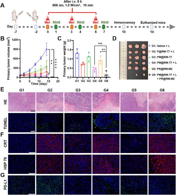 https://cdn.ncbi.nlm.nih.gov/pmc/blobs/12bd/10935025/d1082adc1270/gr5.jpg