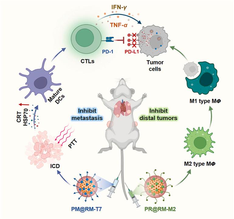 https://cdn.ncbi.nlm.nih.gov/pmc/blobs/12bd/10935025/f0834f898c1b/ga1.jpg