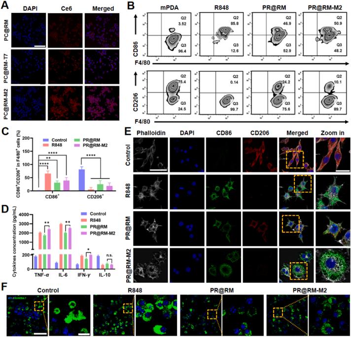 https://cdn.ncbi.nlm.nih.gov/pmc/blobs/12bd/10935025/f58baf8a8b3a/gr3.jpg