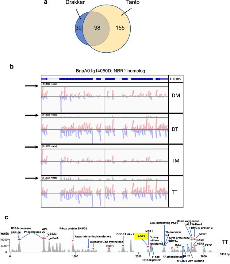 https://cdn.ncbi.nlm.nih.gov/pmc/blobs/12bd/7683744/ebfe009f67e5/42003_2020_1425_Fig4_HTML.jpg