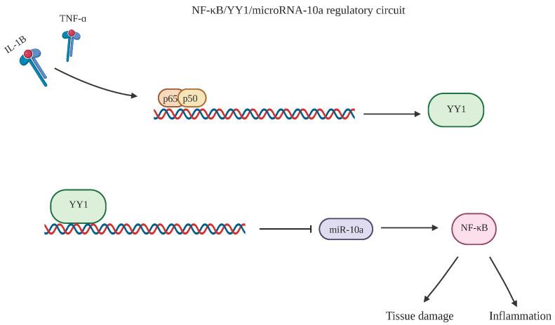https://cdn.ncbi.nlm.nih.gov/pmc/blobs/12c0/10486809/f510971d4d0e/cancers-15-04267-g002.jpg