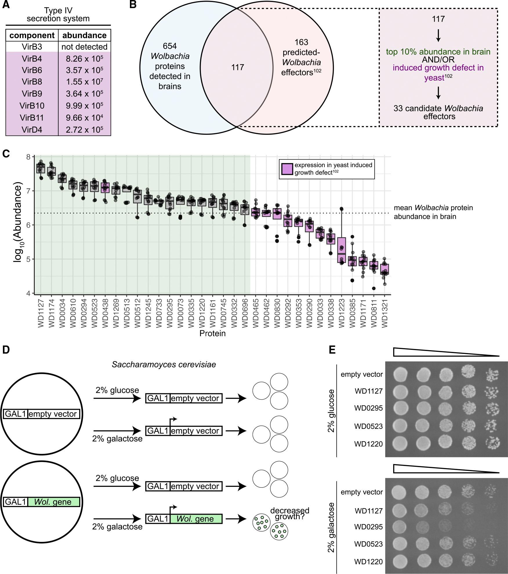 https://cdn.ncbi.nlm.nih.gov/pmc/blobs/12c0/12184626/5050bef18418/nihms-2085641-f0007.jpg